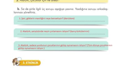 3. Sınıf İlke Yayınları Türkçe Ders Kitabı Sayfa 56 Cevapları