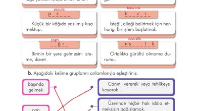 3. Sınıf İlke Yayınları Türkçe Ders Kitabı Sayfa 65 Cevapları