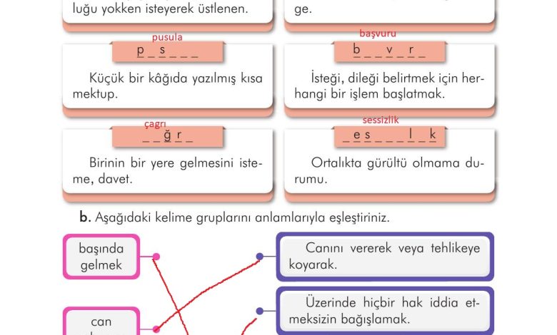 3. Sınıf İlke Yayınları Türkçe Ders Kitabı Sayfa 65 Cevapları