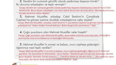 3. Sınıf İlke Yayınları Türkçe Ders Kitabı Sayfa 66 Cevapları