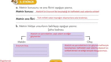 3. Sınıf İlke Yayınları Türkçe Ders Kitabı Sayfa 72 Cevapları