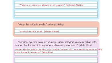 3. Sınıf İlke Yayınları Türkçe Ders Kitabı Sayfa 75 Cevapları