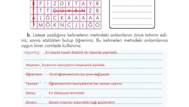 3. Sınıf İlke Yayınları Türkçe Ders Kitabı Sayfa 77 Cevapları