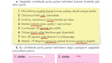 3. Sınıf İlke Yayınları Türkçe Ders Kitabı Sayfa 79 Cevapları