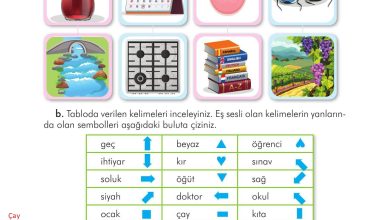 3. Sınıf İlke Yayınları Türkçe Ders Kitabı Sayfa 80 Cevapları