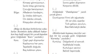 3. Sınıf İlke Yayınları Türkçe Ders Kitabı Sayfa 81 Cevapları