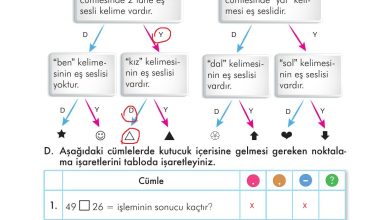 3. Sınıf İlke Yayınları Türkçe Ders Kitabı Sayfa 85 Cevapları