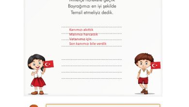 3. Sınıf İlke Yayınları Türkçe Ders Kitabı Sayfa 86 Cevapları