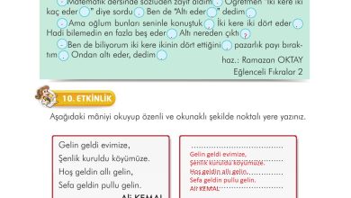 3. Sınıf İlke Yayınları Türkçe Ders Kitabı Sayfa 218 Cevapları