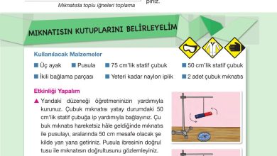 4. Sınıf Pasifik Yayınları Fen Bilimleri Ders Kitabı Sayfa 101 Cevapları