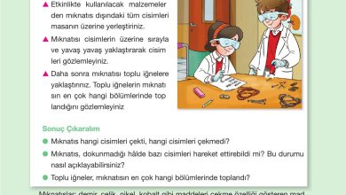 4. Sınıf Pasifik Yayınları Fen Bilimleri Ders Kitabı Sayfa 103 Cevapları