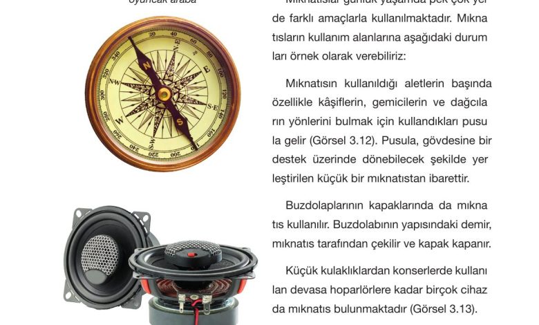 4. Sınıf Pasifik Yayınları Fen Bilimleri Ders Kitabı Sayfa 104 Cevapları