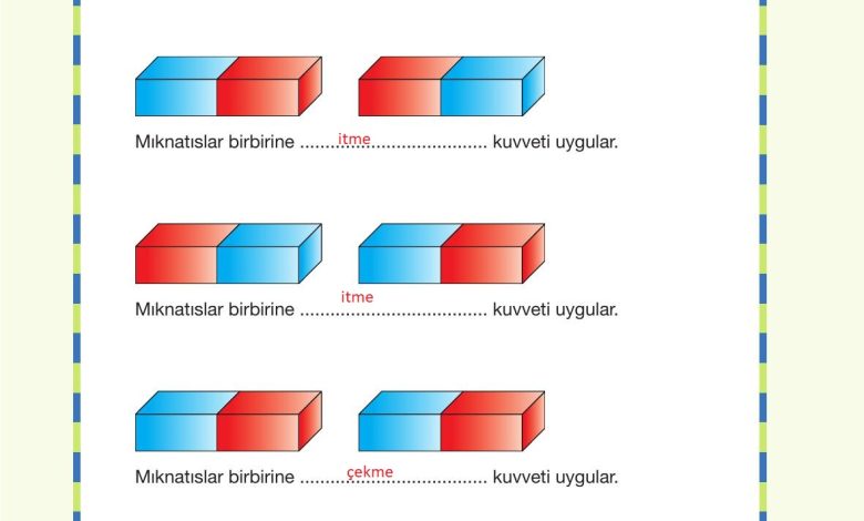 4. Sınıf Pasifik Yayınları Fen Bilimleri Ders Kitabı Sayfa 107 Cevapları