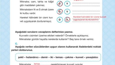 4. Sınıf Pasifik Yayınları Fen Bilimleri Ders Kitabı Sayfa 111 Cevapları