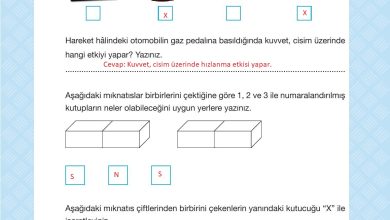 4. Sınıf Pasifik Yayınları Fen Bilimleri Ders Kitabı Sayfa 113 Cevapları