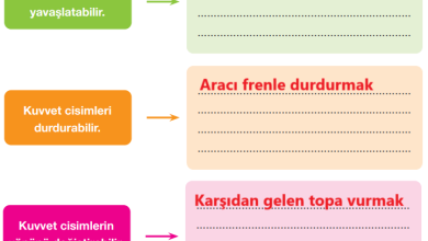 4. Sınıf Pasifik Yayınları Fen Bilimleri Ders Kitabı Sayfa 114 Cevapları