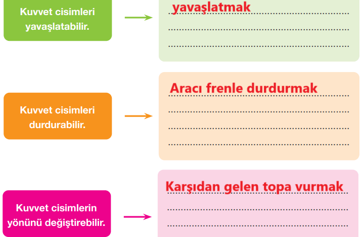 4. Sınıf Pasifik Yayınları Fen Bilimleri Ders Kitabı Sayfa 114 Cevapları