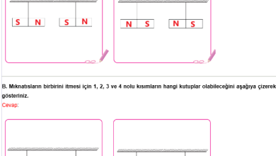 4. Sınıf Pasifik Yayınları Fen Bilimleri Ders Kitabı Sayfa 115 Cevapları