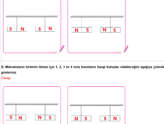 4. Sınıf Pasifik Yayınları Fen Bilimleri Ders Kitabı Sayfa 115 Cevapları