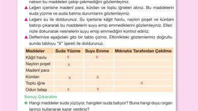 4. Sınıf Pasifik Yayınları Fen Bilimleri Ders Kitabı Sayfa 119 Cevapları