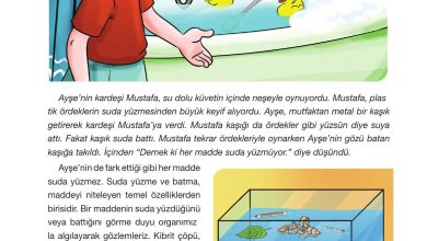 4. Sınıf Pasifik Yayınları Fen Bilimleri Ders Kitabı Sayfa 120 Cevapları