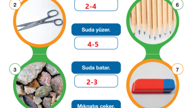 4. Sınıf Pasifik Yayınları Fen Bilimleri Ders Kitabı Sayfa 123 Cevapları