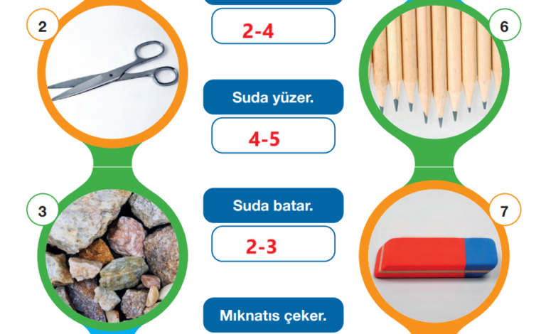 4. Sınıf Pasifik Yayınları Fen Bilimleri Ders Kitabı Sayfa 123 Cevapları