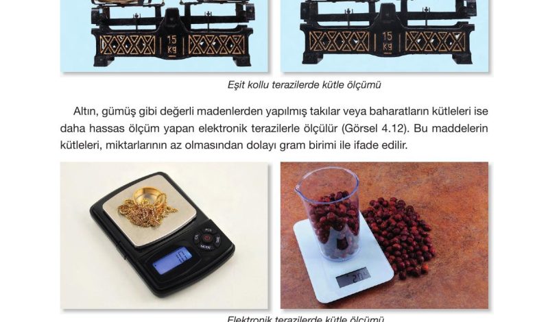 4. Sınıf Pasifik Yayınları Fen Bilimleri Ders Kitabı Sayfa 126 Cevapları