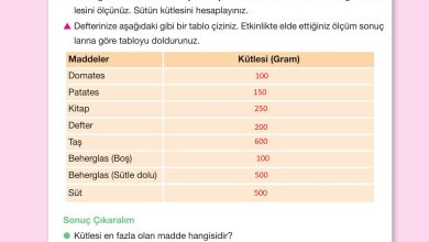 4. Sınıf Pasifik Yayınları Fen Bilimleri Ders Kitabı Sayfa 128 Cevapları