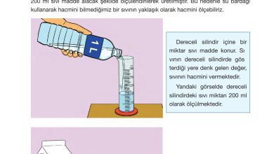 4. Sınıf Pasifik Yayınları Fen Bilimleri Ders Kitabı Sayfa 130 Cevapları