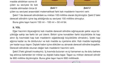 4. Sınıf Pasifik Yayınları Fen Bilimleri Ders Kitabı Sayfa 131 Cevapları