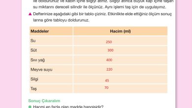 4. Sınıf Pasifik Yayınları Fen Bilimleri Ders Kitabı Sayfa 132 Cevapları