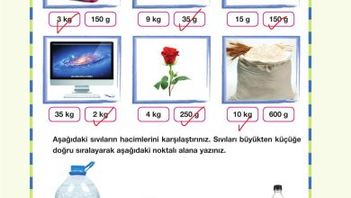 4. Sınıf Pasifik Yayınları Fen Bilimleri Ders Kitabı Sayfa 133 Cevapları