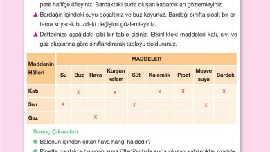 4. Sınıf Pasifik Yayınları Fen Bilimleri Ders Kitabı Sayfa 135 Cevapları