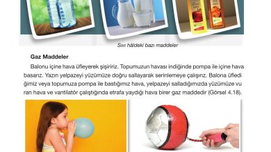 4. Sınıf Pasifik Yayınları Fen Bilimleri Ders Kitabı Sayfa 137 Cevapları