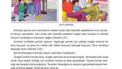 4. Sınıf Pasifik Yayınları Fen Bilimleri Ders Kitabı Sayfa 141 Cevapları