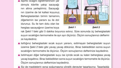 4. Sınıf Pasifik Yayınları Fen Bilimleri Ders Kitabı Sayfa 142 Cevapları