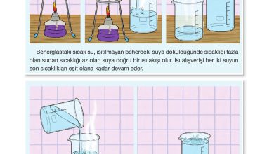 4. Sınıf Pasifik Yayınları Fen Bilimleri Ders Kitabı Sayfa 143 Cevapları