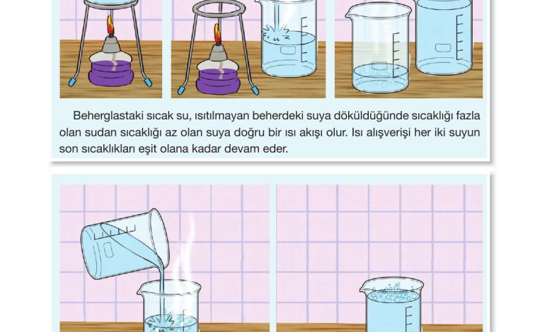 4. Sınıf Pasifik Yayınları Fen Bilimleri Ders Kitabı Sayfa 143 Cevapları