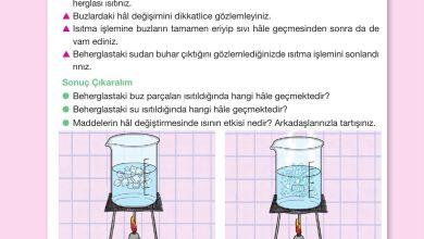 4. Sınıf Pasifik Yayınları Fen Bilimleri Ders Kitabı Sayfa 144 Cevapları