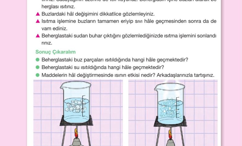 4. Sınıf Pasifik Yayınları Fen Bilimleri Ders Kitabı Sayfa 144 Cevapları