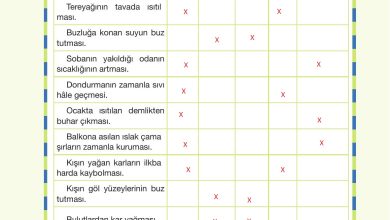 4. Sınıf Pasifik Yayınları Fen Bilimleri Ders Kitabı Sayfa 146 Cevapları