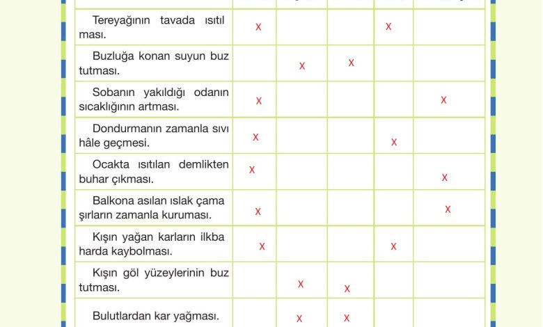 4. Sınıf Pasifik Yayınları Fen Bilimleri Ders Kitabı Sayfa 146 Cevapları