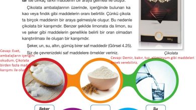 4. Sınıf Pasifik Yayınları Fen Bilimleri Ders Kitabı Sayfa 148 Cevapları