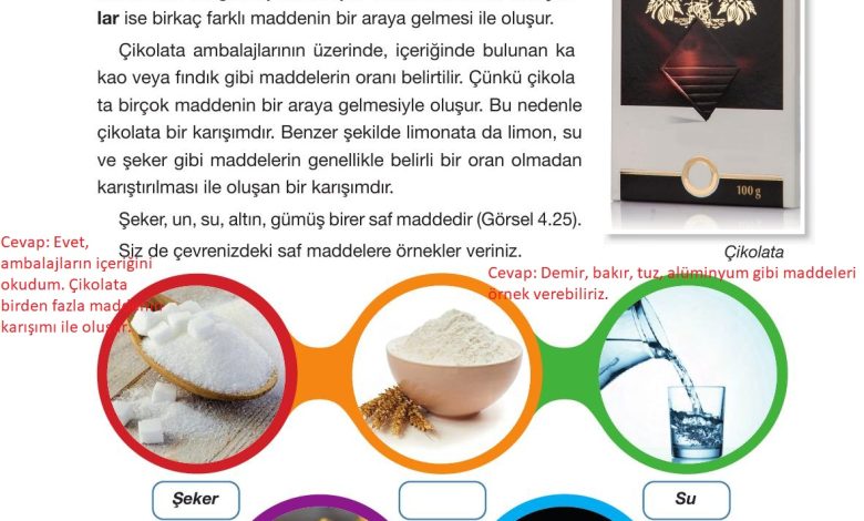 4. Sınıf Pasifik Yayınları Fen Bilimleri Ders Kitabı Sayfa 148 Cevapları