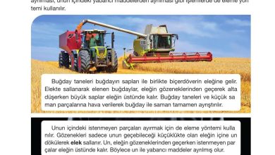 4. Sınıf Pasifik Yayınları Fen Bilimleri Ders Kitabı Sayfa 150 Cevapları