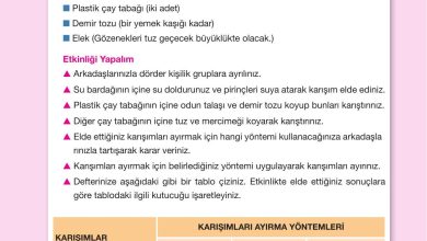 4. Sınıf Pasifik Yayınları Fen Bilimleri Ders Kitabı Sayfa 152 Cevapları