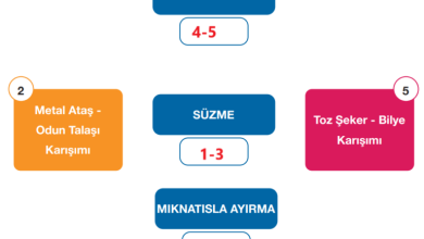 4. Sınıf Pasifik Yayınları Fen Bilimleri Ders Kitabı Sayfa 155 Cevapları