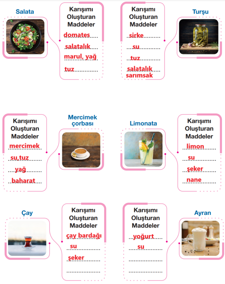 4. Sınıf Pasifik Yayınları Fen Bilimleri Ders Kitabı Sayfa 156 Cevapları