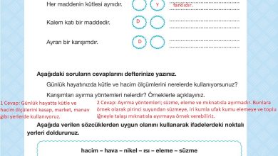 4. Sınıf Pasifik Yayınları Fen Bilimleri Ders Kitabı Sayfa 159 Cevapları